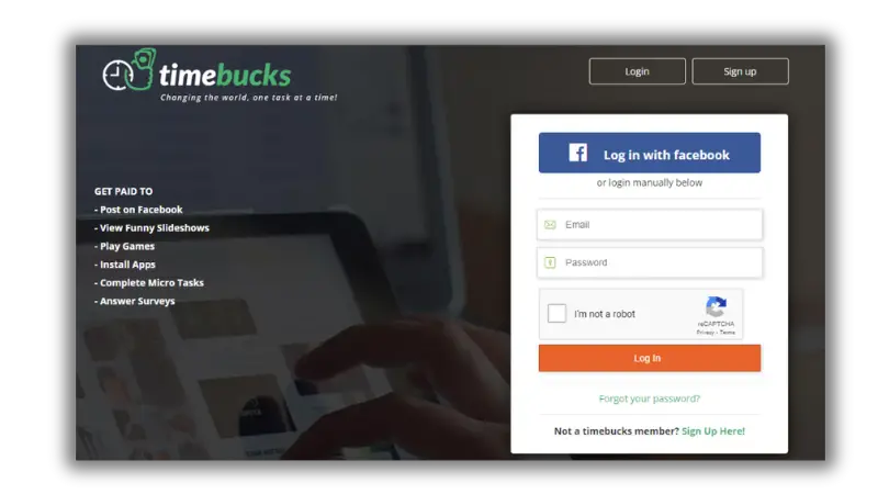 timebucks survey platform